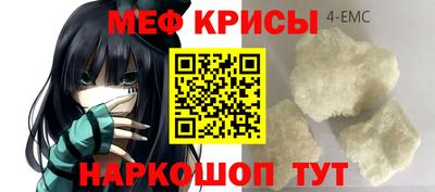 индика Можга