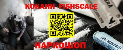 индика Можга