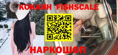 индика Можга