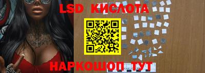 индика Можга