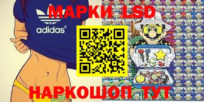 индика Можга