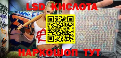 индика Можга