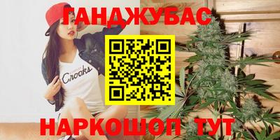прущие грибы Можайск