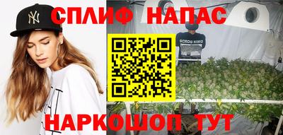 прущие грибы Можайск