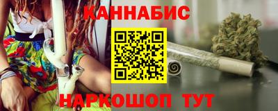 индика Можга