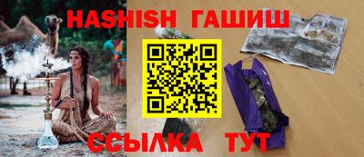 индика Можга
