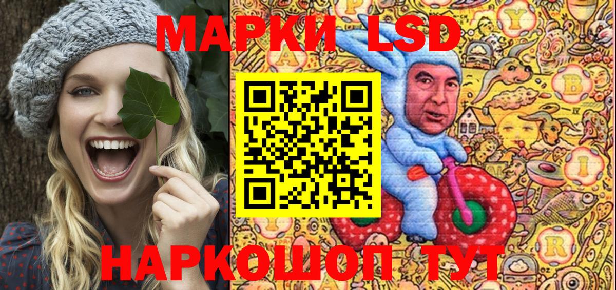 ГАШИШ Владимир