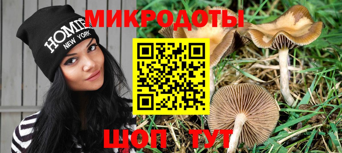 Галлюциногенные грибы прущие грибы Владимир