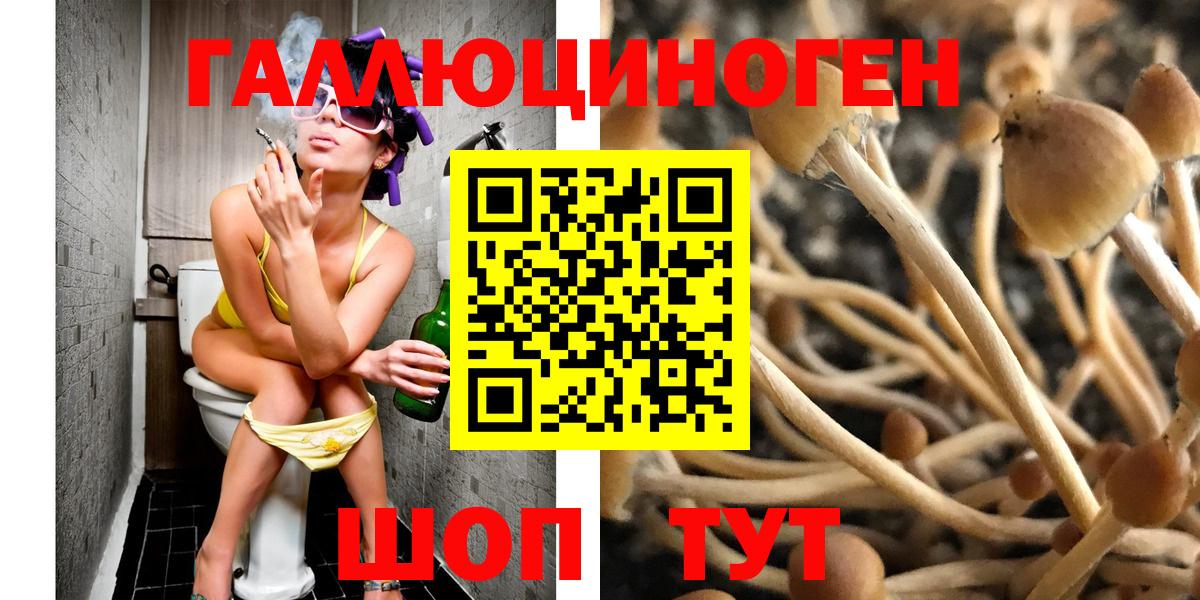 Владимир  Псилоцибиновые грибы Psilocybe  Вход с VPN 